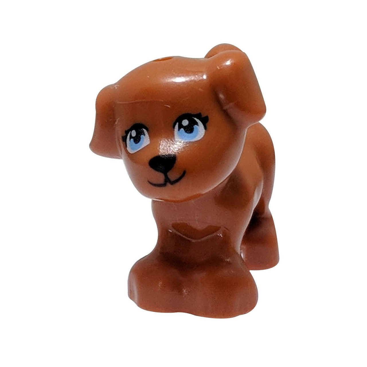 Dark Orange Dog, Friends, Puppy, Standing with Black Nose and Mouth, Light Blue Eyes and Eyelashes Pattern