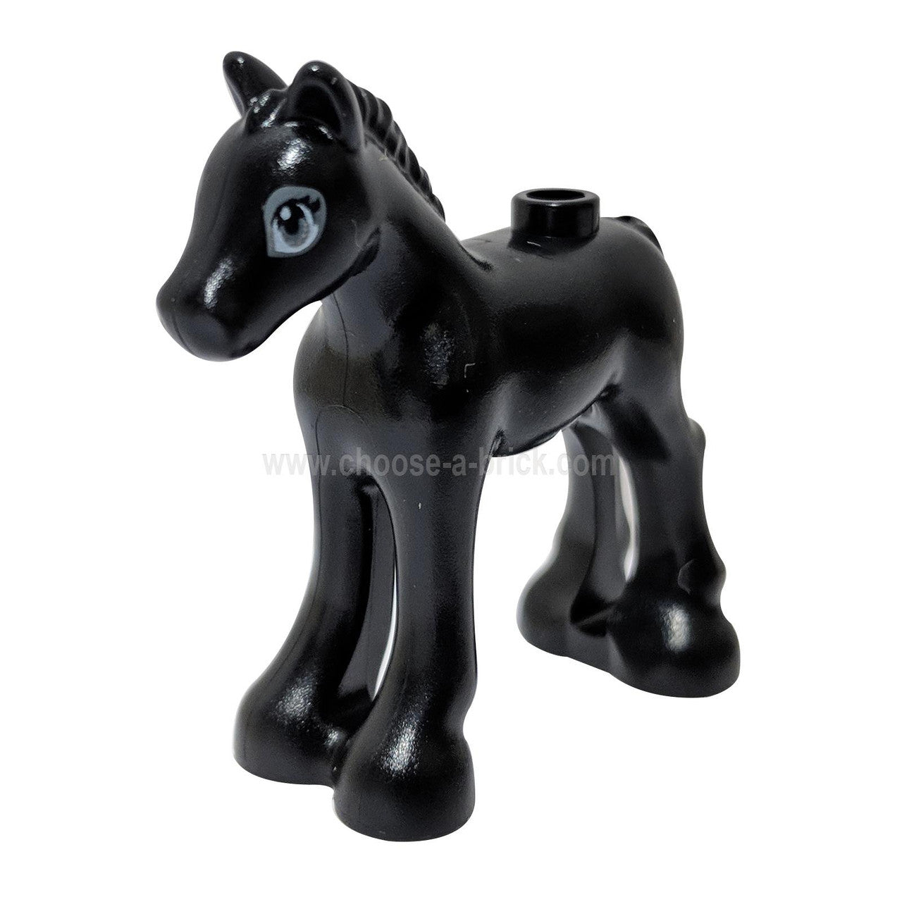 Black Horse, Friends, Foal with Dark Bluish Gray and White Eyes with Dark Bluish Gray Outlines Pattern