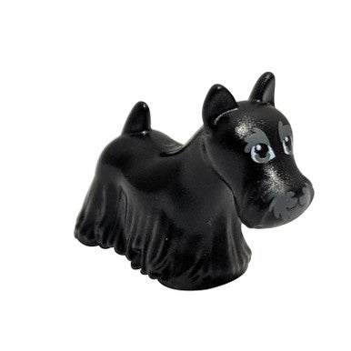 Hund, Terrier Schottisch (Scottie) mit dunkelblau-grauen Augen, Augenbrauen und Schnauzenmuster 