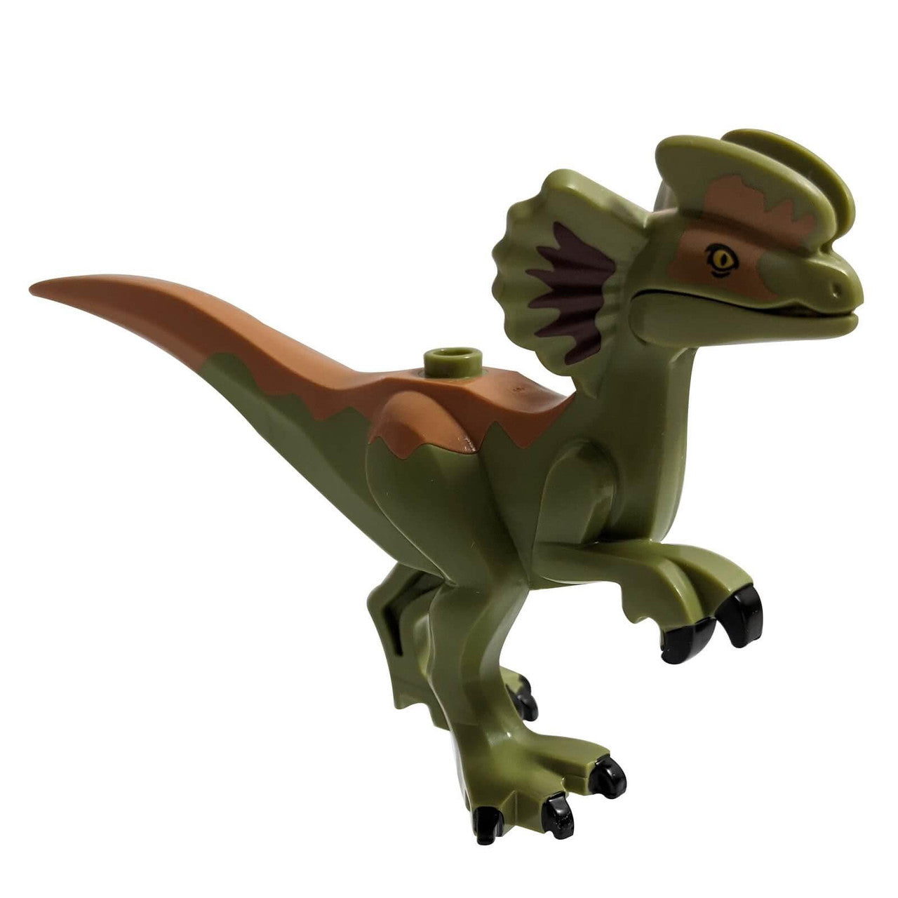 Olive Green Dinosaur, Dilophosaurus